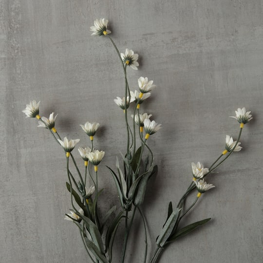 Cream Wild Daisy Spray by Ashland®